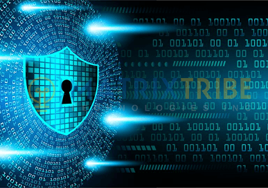 Secure Software Development: Build OWASP Security Into the SDLC