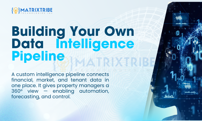 build your own data inteligence